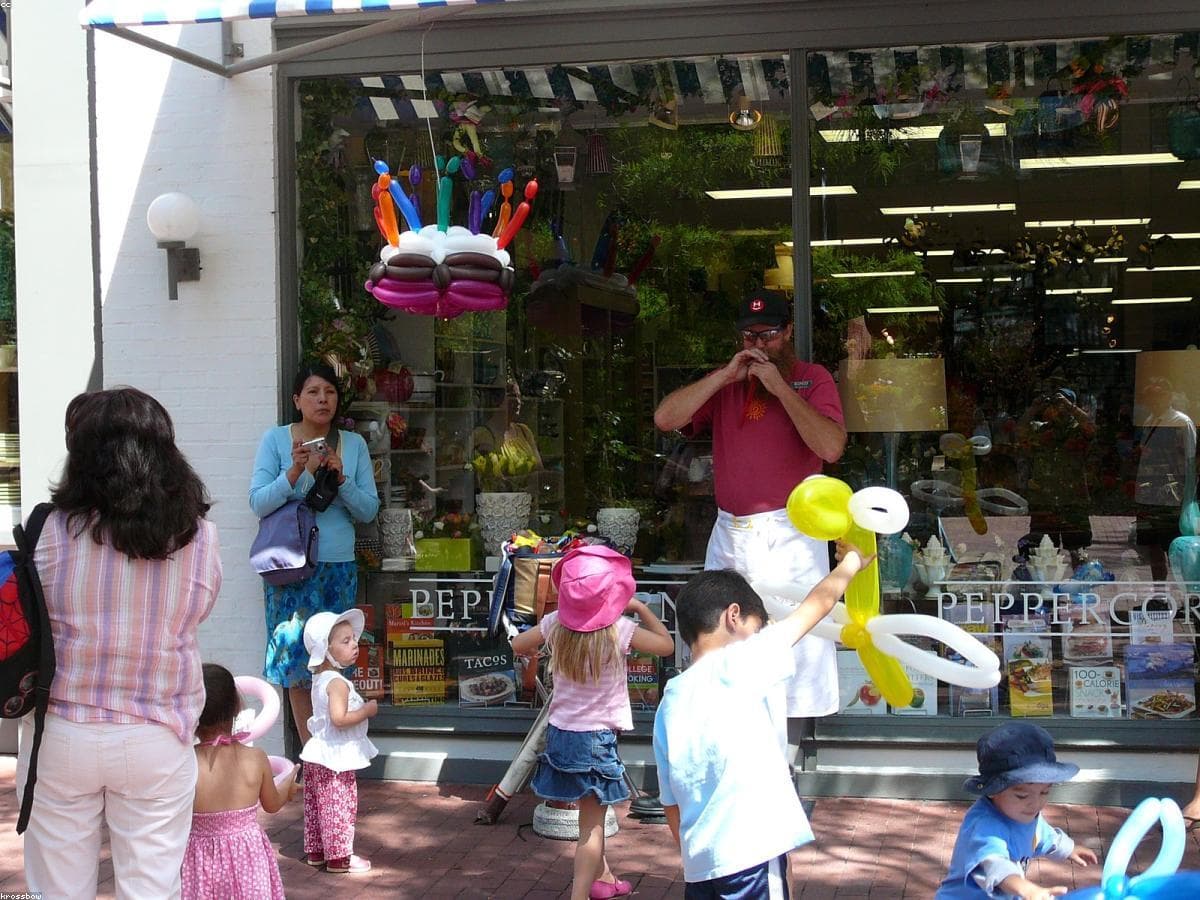 Gallery image 2