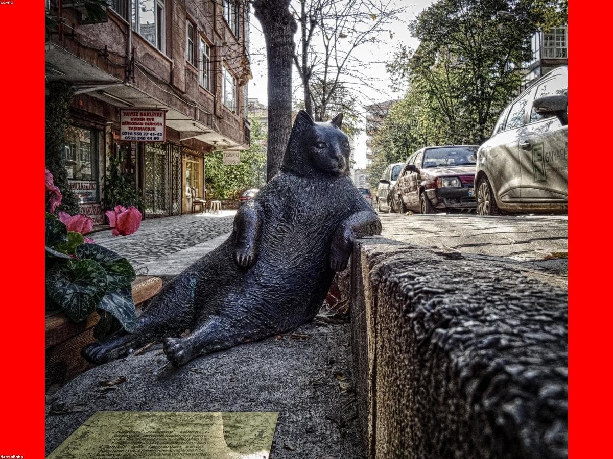 Gallery image 1
